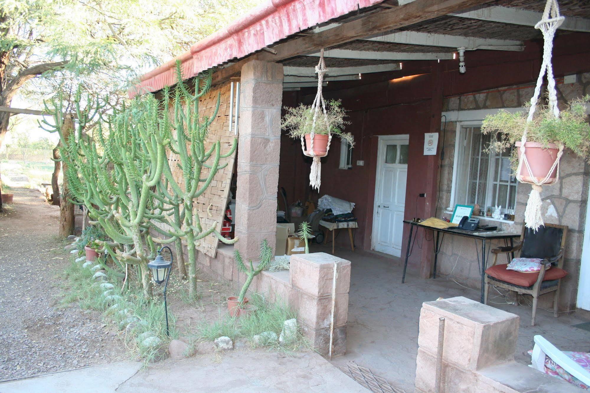 Quinta Adela Bed & Breakfast 圣佩德罗·德·阿塔卡马 外观 照片